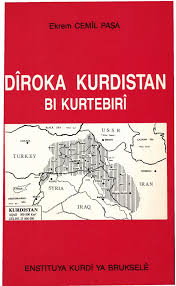 DEVLETİMİZİ KENDİMİZ KURACAĞIZ